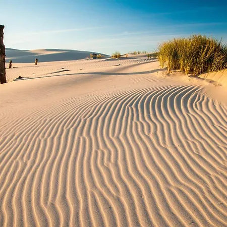 Zuczkowa Przyczepa -