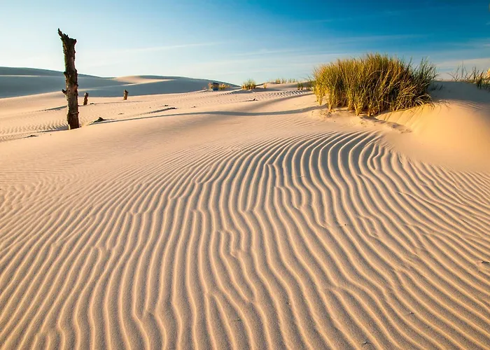 Zuczkowa Przyczepa -